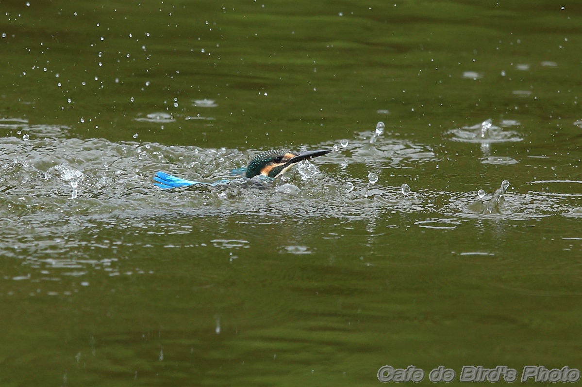 dc201406290311